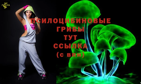 apvp Верея