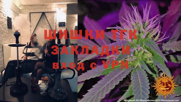 apvp Верея