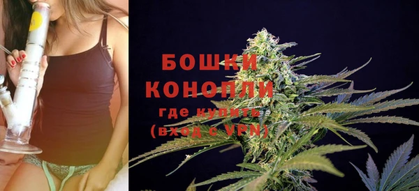 apvp Верея