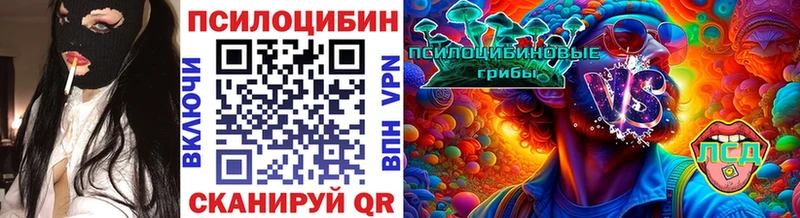 Псилоцибиновые грибы Cubensis  наркота  Новосибирск 